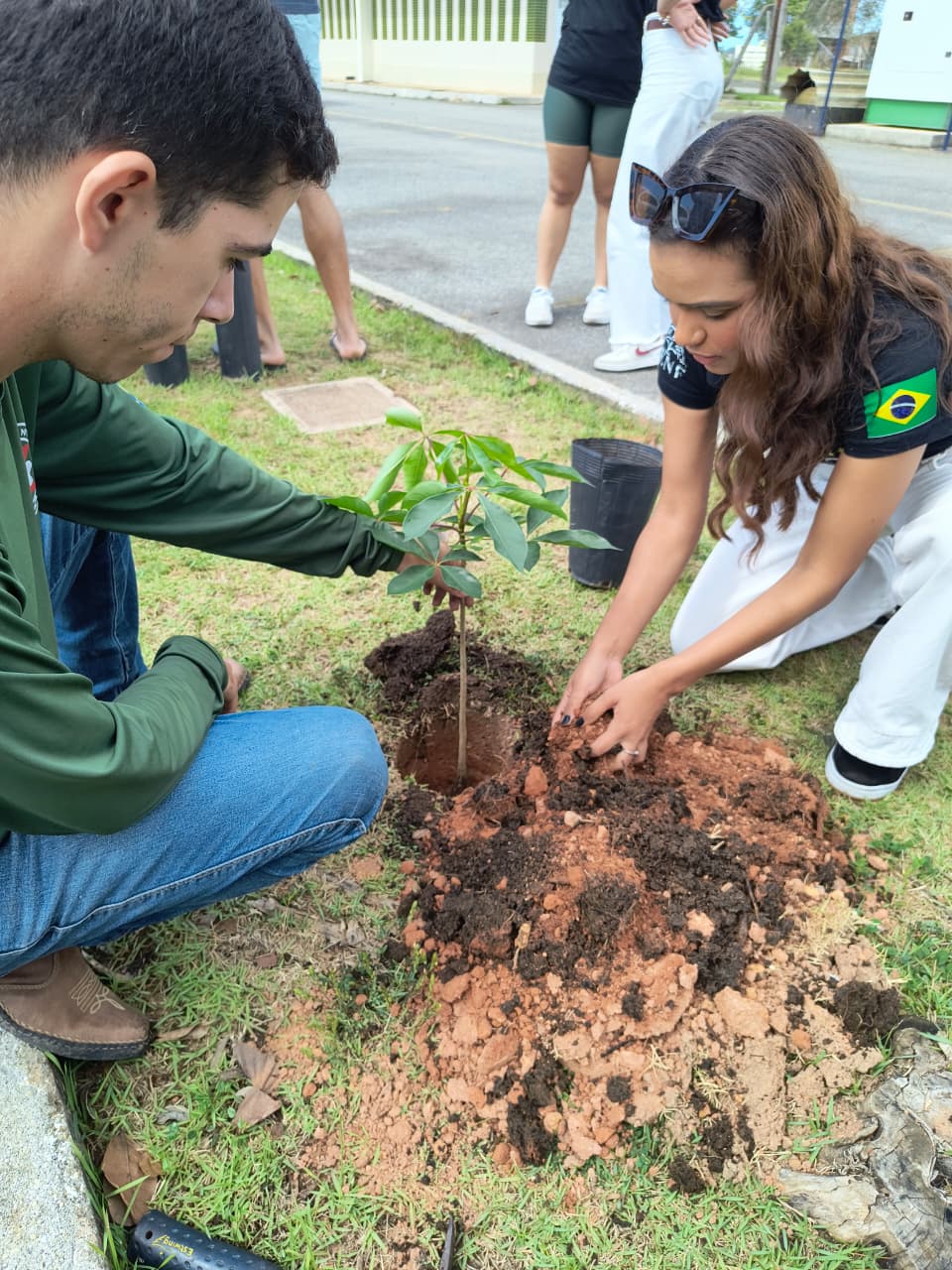 Plantio LENEP - Macaé 4